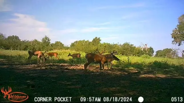 TBD Pr 1350, Centerville, TX 75833 - #3
