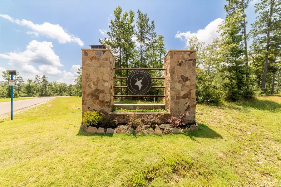 333 Iron Horse Road, New Waverly, TX 77358 - #2