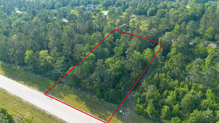 333 Iron Horse Road, New Waverly, TX 77358 - #3