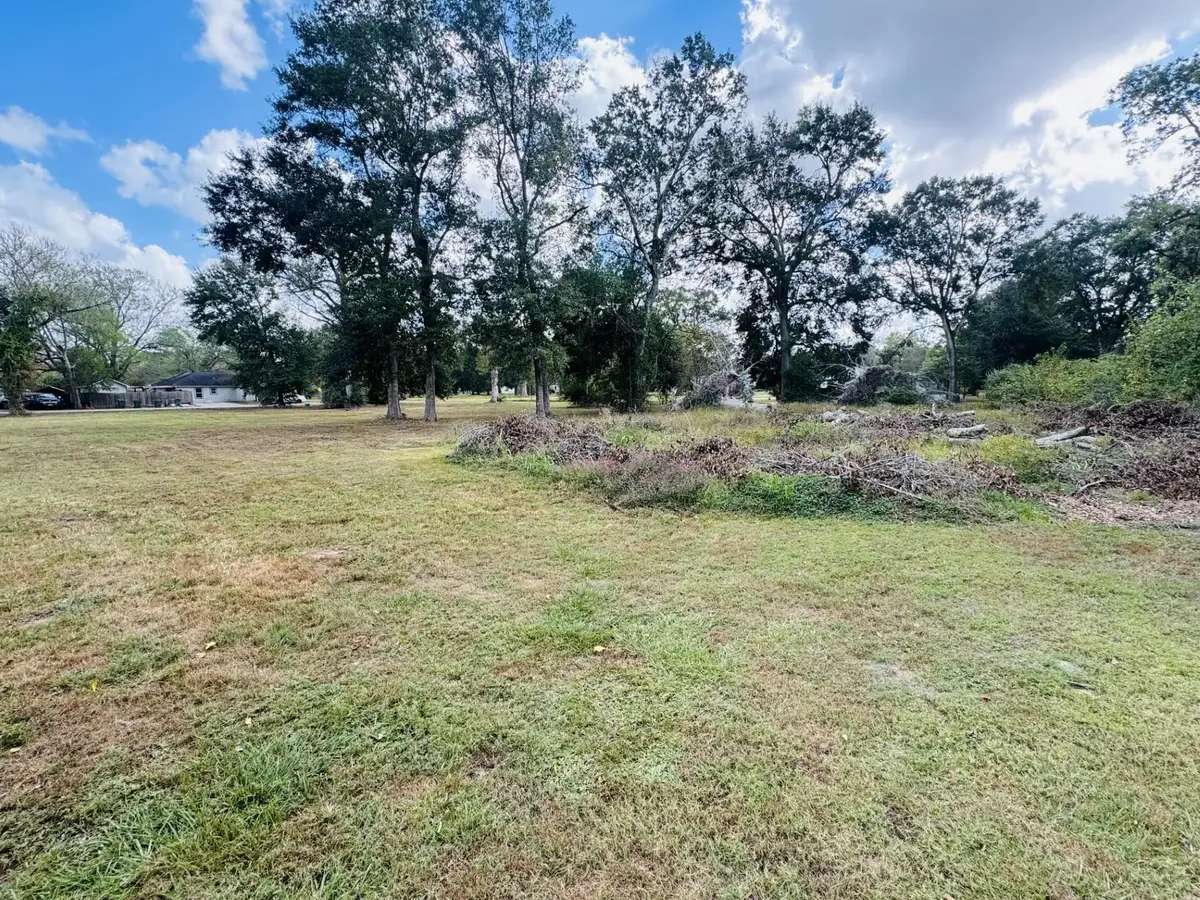 TBD Hazel, Dayton, TX 77535 - Image #1