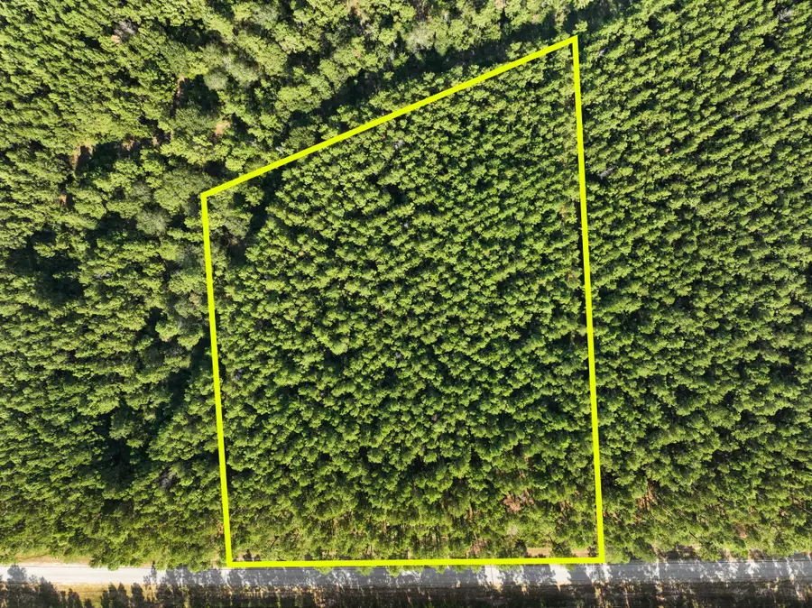Lot 74 Huntsman Lane, Huntsville, TX 77340 - #2