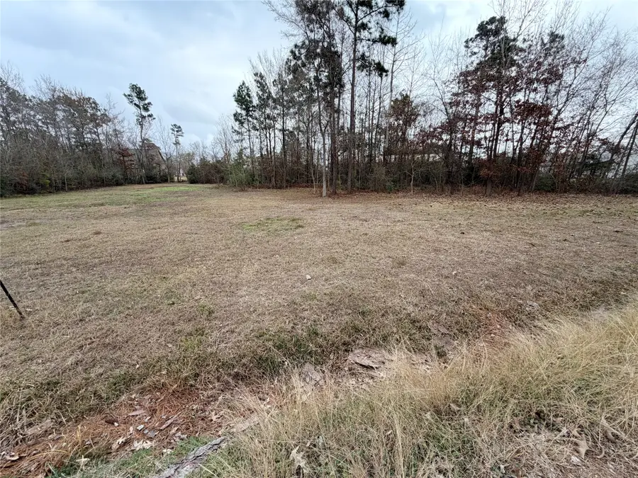 TBD Shelter Lane, Livingston, TX 77351 - #2