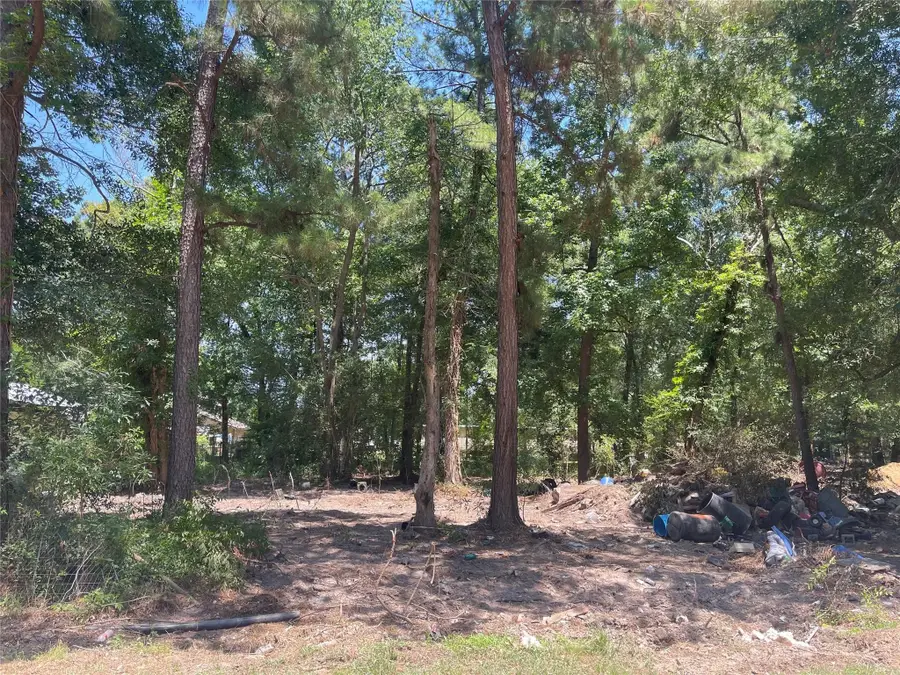 00 County Road 3252, Cleveland, TX 77327 - #2