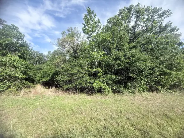 21203 Grant Lake Circle, Cleveland, TX 77328