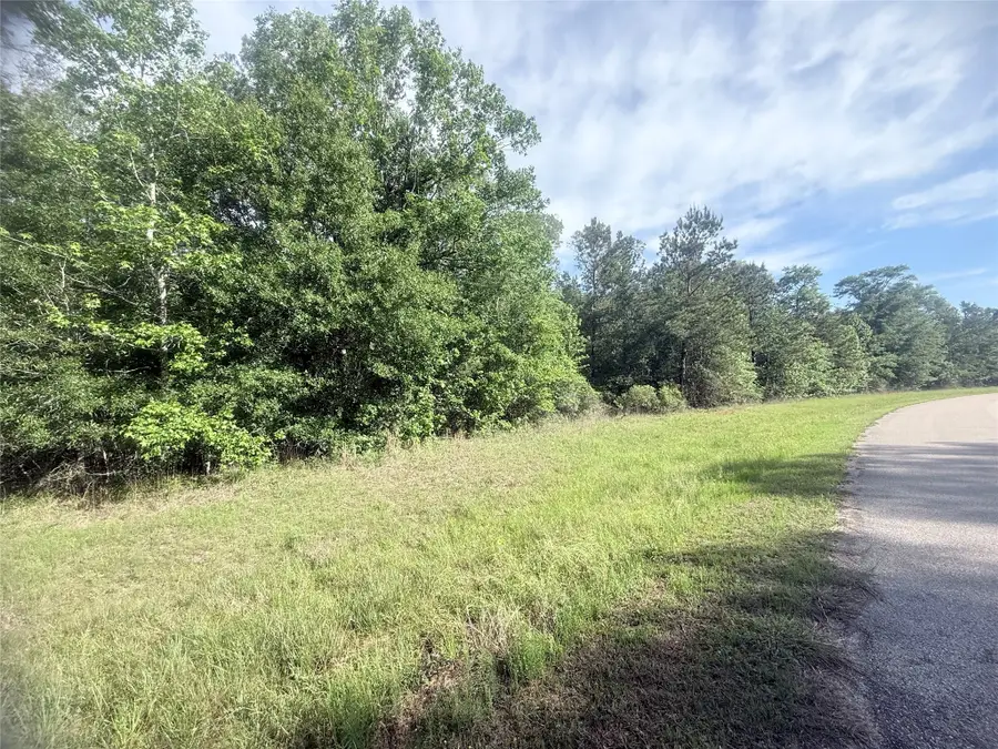 21203 Grant Lake Circle, Cleveland, TX 77328 - #2