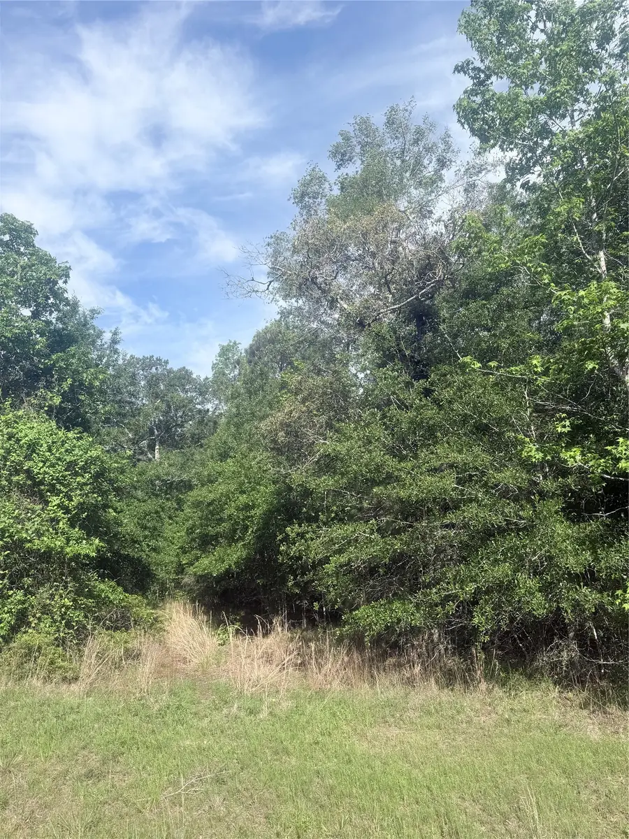 21203 Grant Lake Circle, Cleveland, TX 77328 - #3