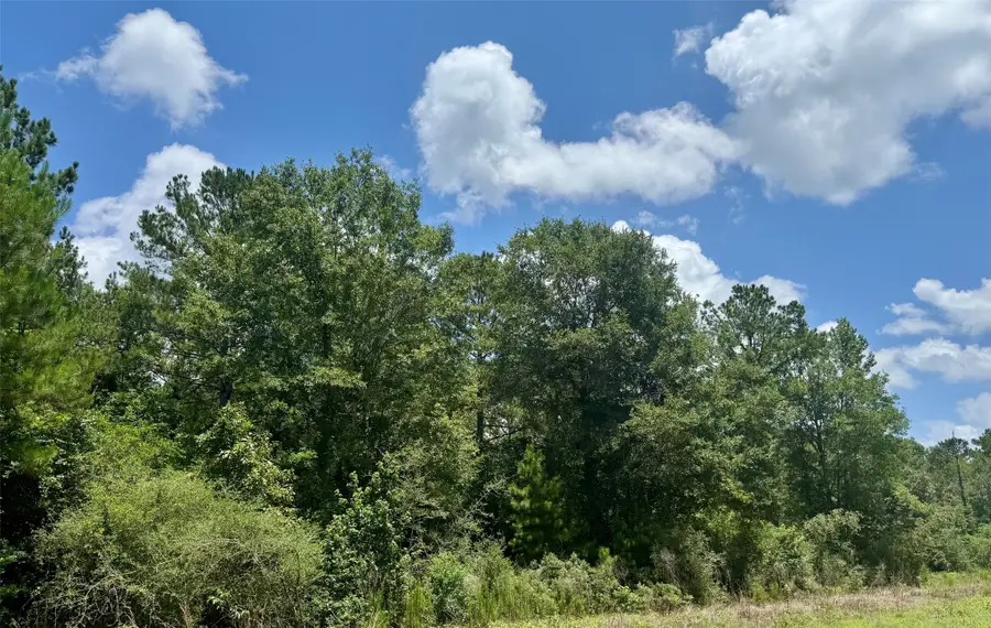 Lot 15 Riverstone Drive, Livingston, TX 77351 - #2