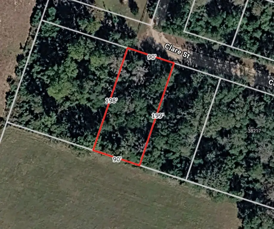 Lot 2 Clare Street, Waller, TX 77445 - #1