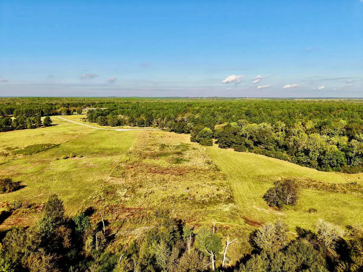 300 Buckhorn Creek Trail, Crockett, TX 75835 - #1