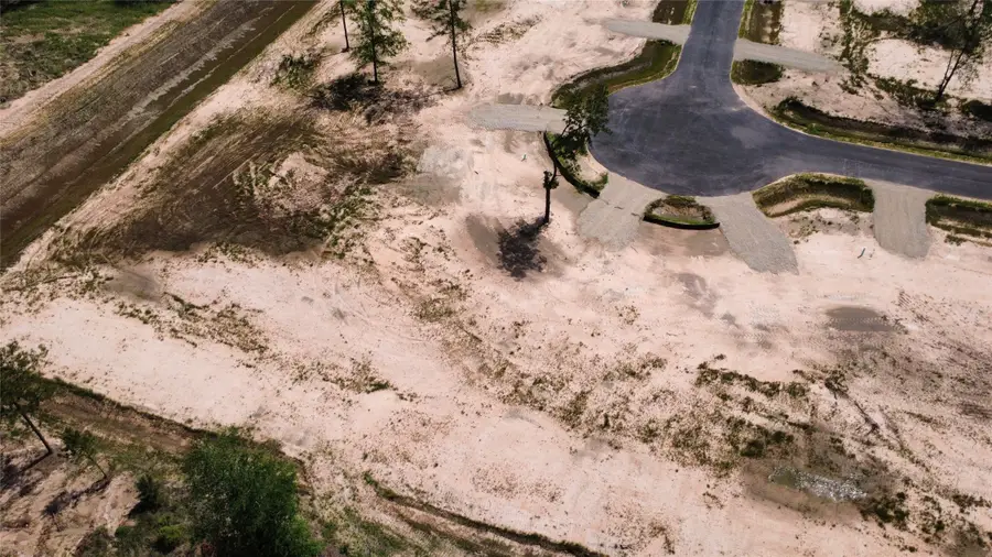 11702 Lever Drive, Conroe, TX 77306 - #2