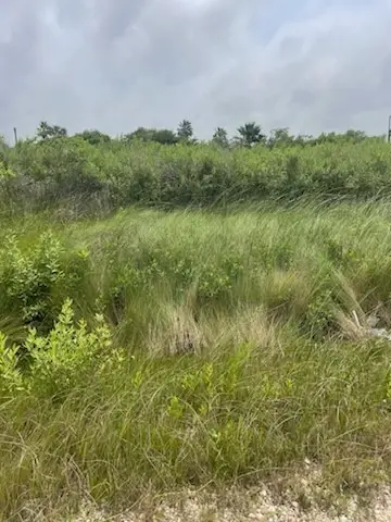 0 S Sonny Ln, Galveston, TX 77554 - Image #1