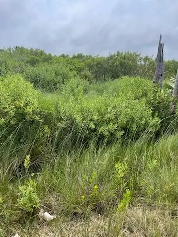 0 S Sonny Ln, Galveston, TX 77554 - Image #3