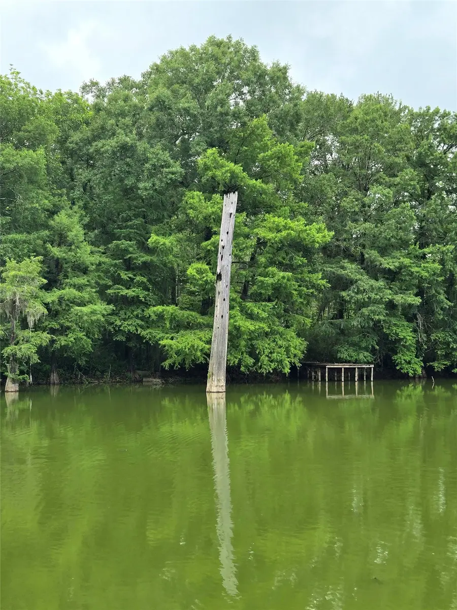 403 County Road 2869, Cleveland, TX 77327 - #3