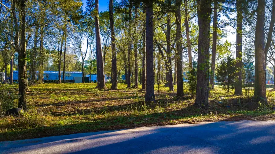 400 Hickory Street, Cleveland, TX 77328 - #3