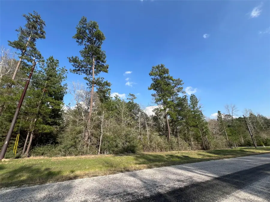 3-17-3B Winchester Road, Huntsville, TX 77340 - #3