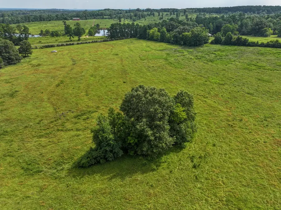 02 Fm 2867, Henderson, TX 75654 - #3