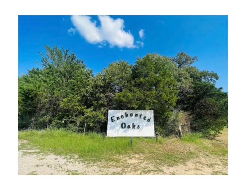 345 Dew Berry Rd, Somerville, TX 77879 - #1