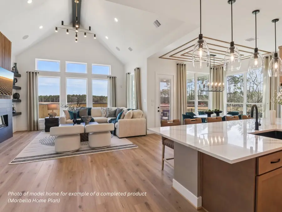 18843 Deep Wingbeat Way, Magnolia, TX 77354 - #2