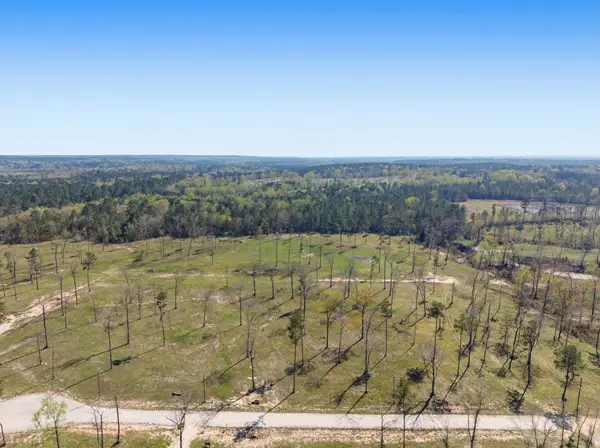 Lot 4 Johnson Drive, Livingston, TX 77351