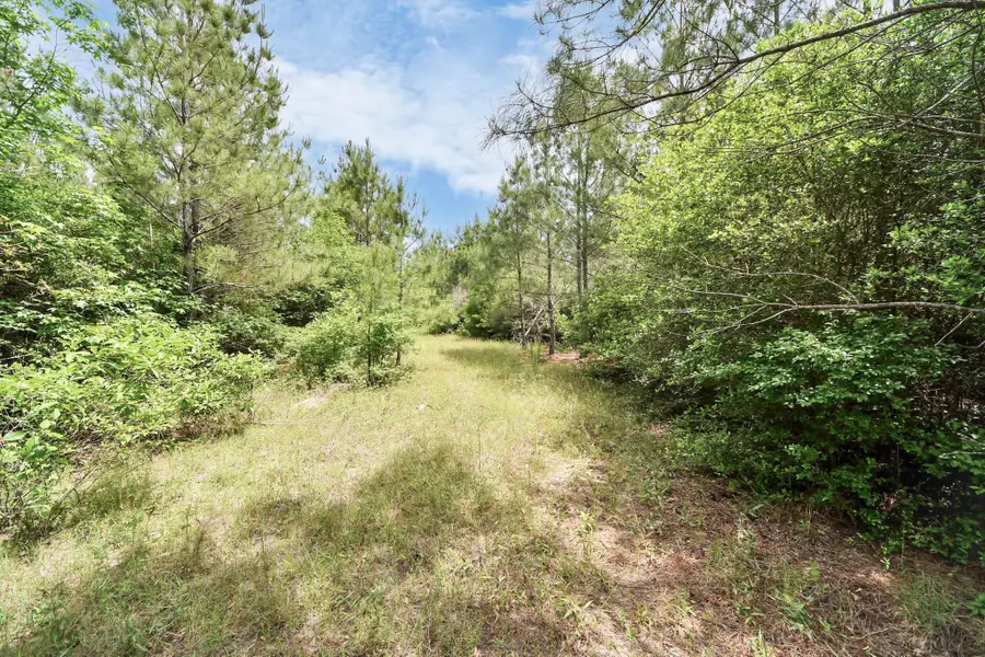 15522 Wood Grove Way, Willis, TX 77378 - #2