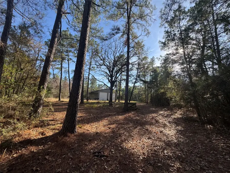 Lots 35 & 36 Brazos Pass, Lovelady, TX 75851 - #2