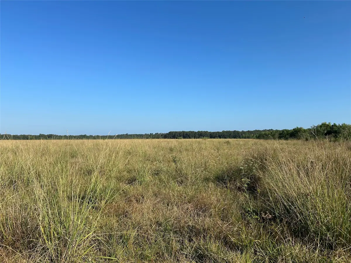 Lot 61 Minnie West Drive, Hull, TX 77564 - Image #1