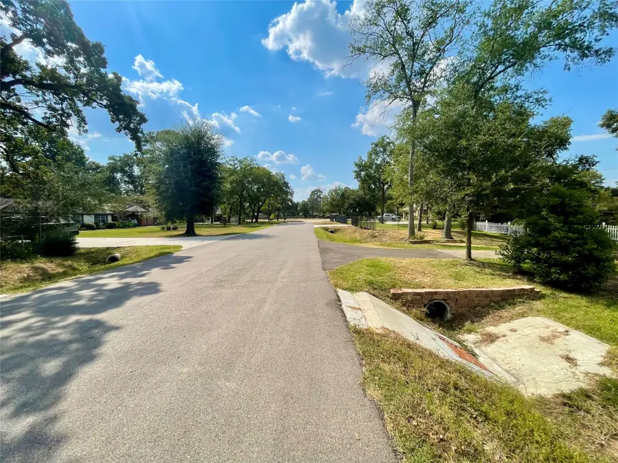 12302 Oralia Drive, Houston, TX 77065 - Image #3