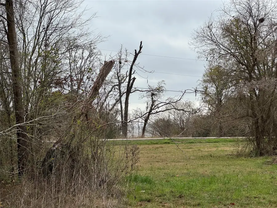 TBD Fm 980 S, Point Blank, TX 77364 - #3