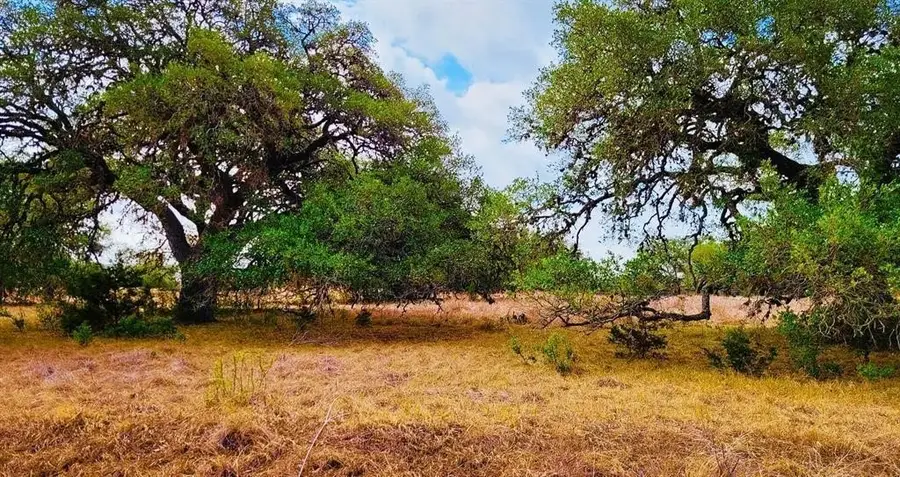 530 Buckskin Trail, Bandera, TX 78003 - #3