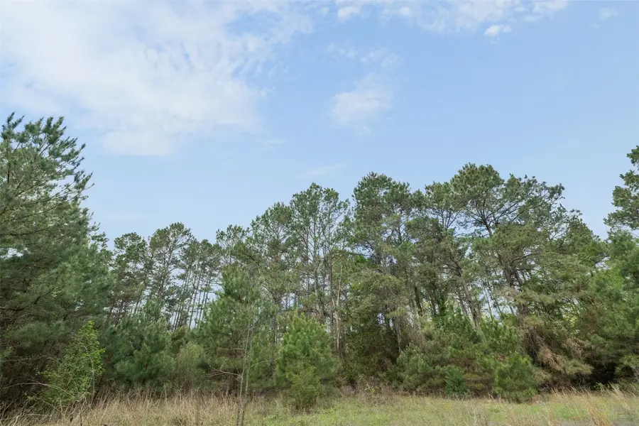 1631 County Road 131, Centerville, TX 75833 - #3