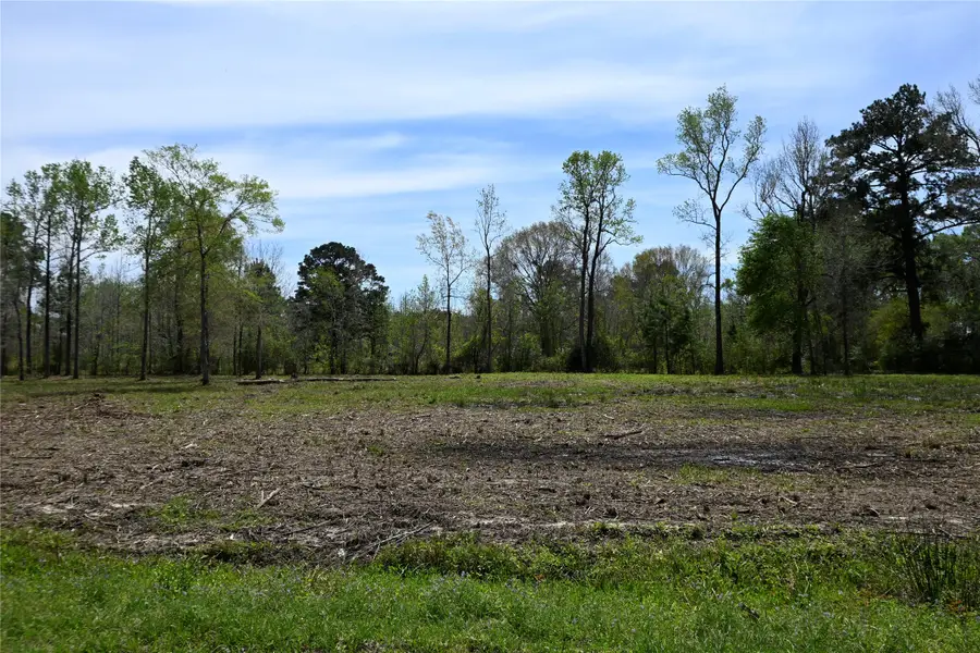 lot 3 County Road 2360, Hardin, TX 77575 - #3