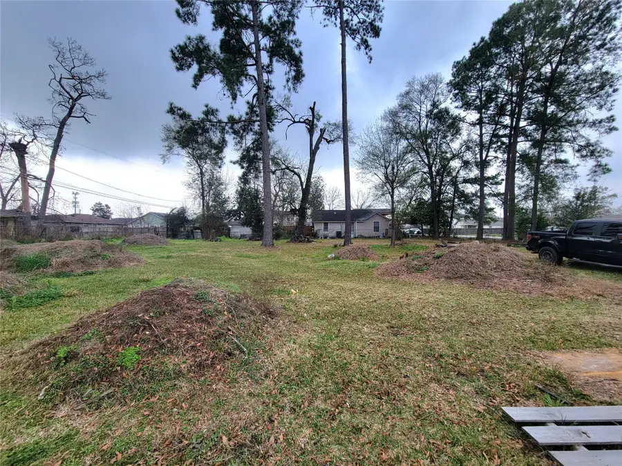 10216 Goldcrest Street, Houston, TX 77076 - #3