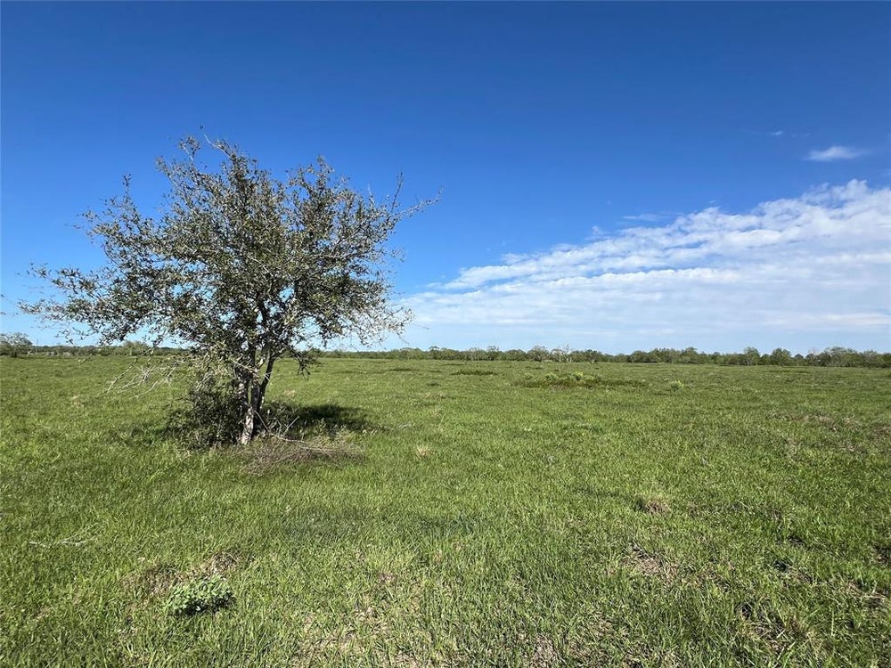 0 County Road 25, Damon, TX 77430 BHGRE