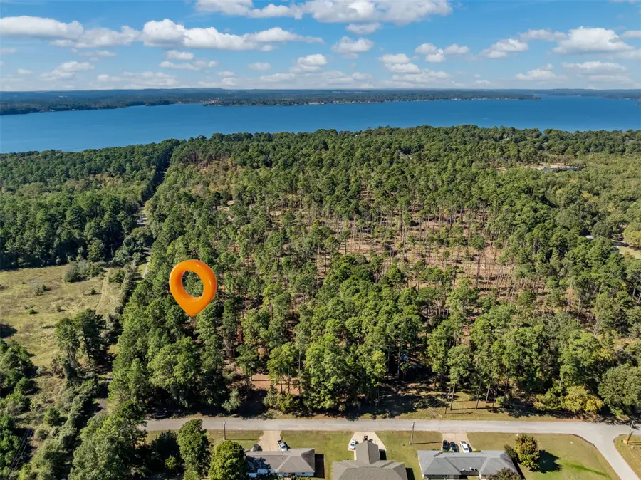 0 Pintail Drive, Flint, TX 75762 - #3