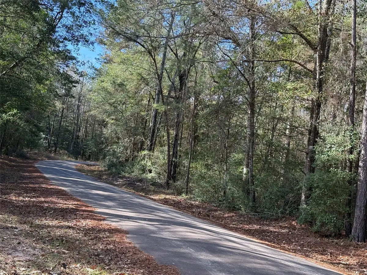 TBD Lot 3 John Keely Road, Zavalla, TX 75980 - #1