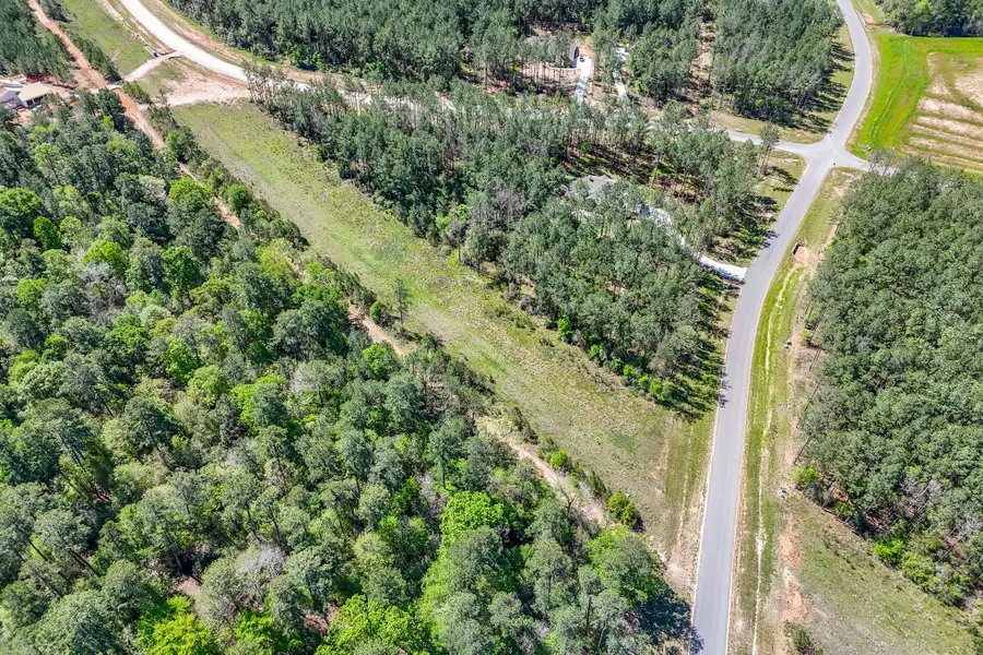 15866 Four Hills Road, Willis, TX 77378 - Image #2