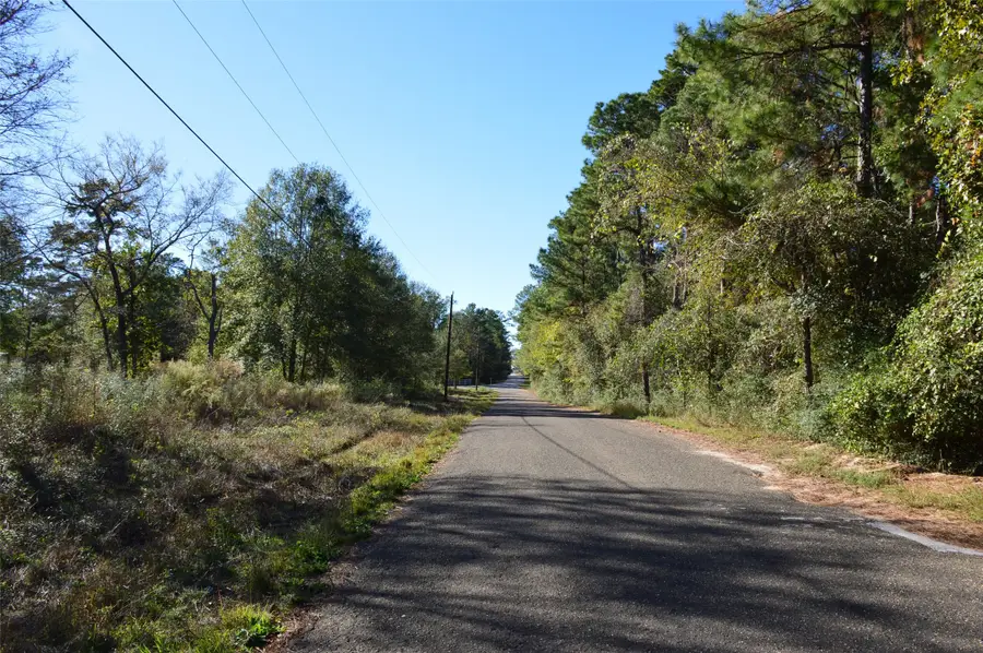 0010 County Road 302, Plantersville, TX 77363 - Image #2