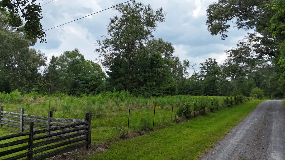 703 County Road 703, Buna, TX 77612 - #1