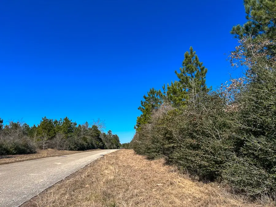 T-1 Lake View, Crockett, TX 75835 - #3