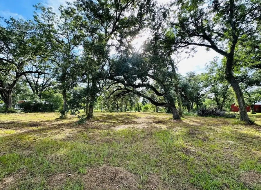 202 Jones Road, Angleton, TX 77515 - #2