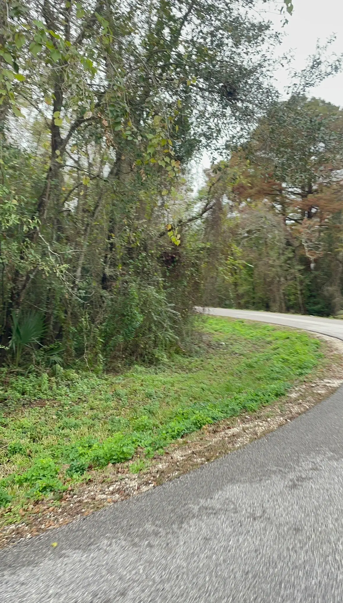 9 Bayou Bend, Orange, TX 77630 - #1