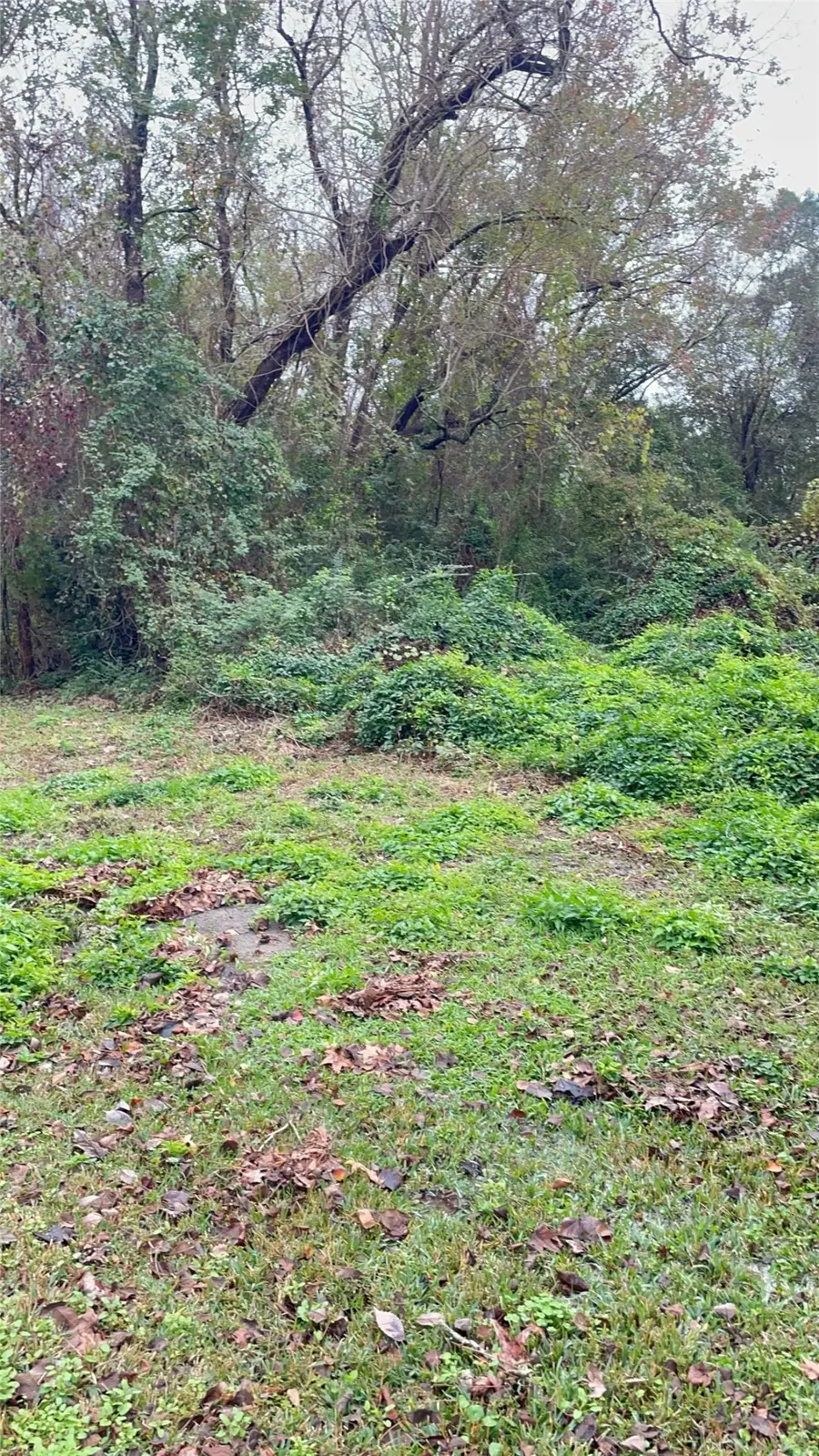 9 Bayou Bend, Orange, TX 77630 - #3