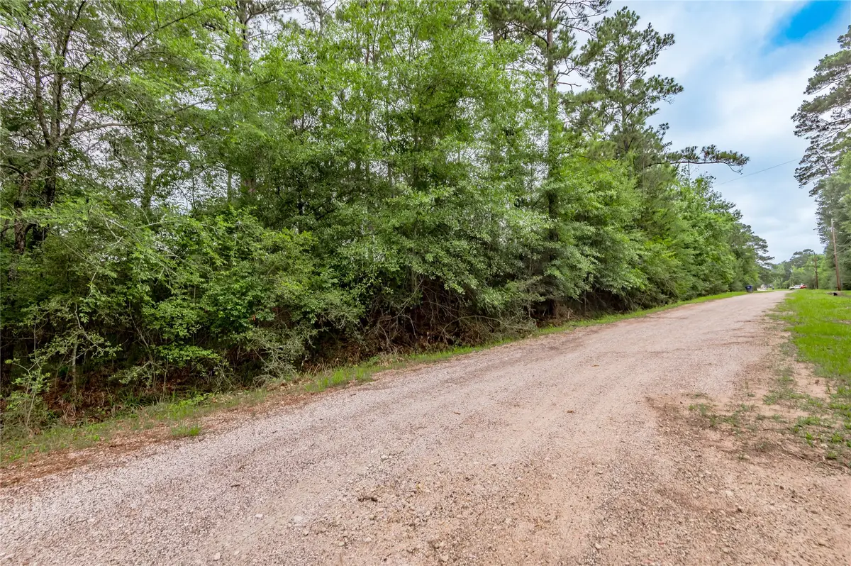 Lot 07 S Estate Drive, Trinity, TX 75862 - #1