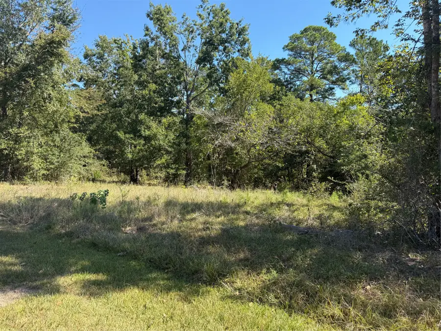 TBD Shadowood Lane, Coldspring, TX 77331 - #3