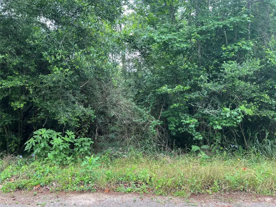 0 Rollingwood Loop, Conroe, TX 77303 - #3