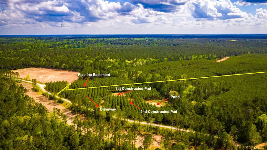 0 Jimbo Nettles Road, Livingston, TX 77351 - #2