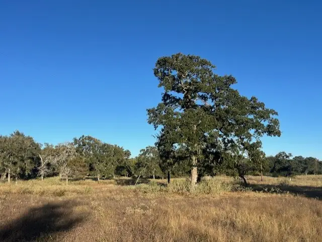 1311-A Alleyton Road, Columbus, TX 78934 - Image #3