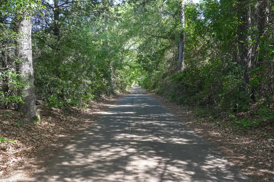 Lot 2 County Road 1584, Avinger, TX 75630 - #3