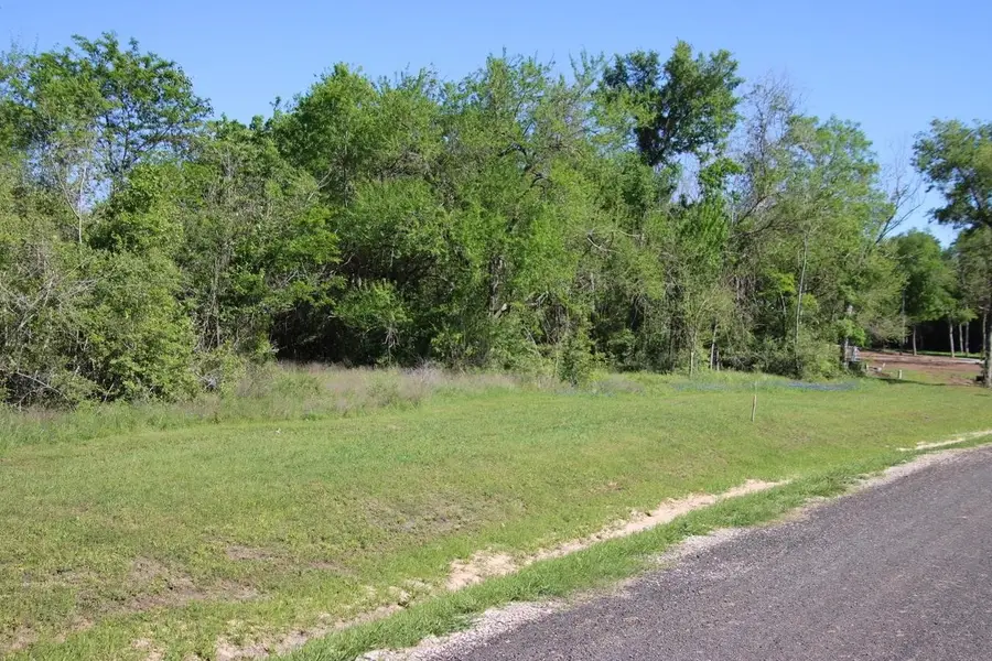 00 Wooded Reserve Court, Washington, TX 77880 - #2