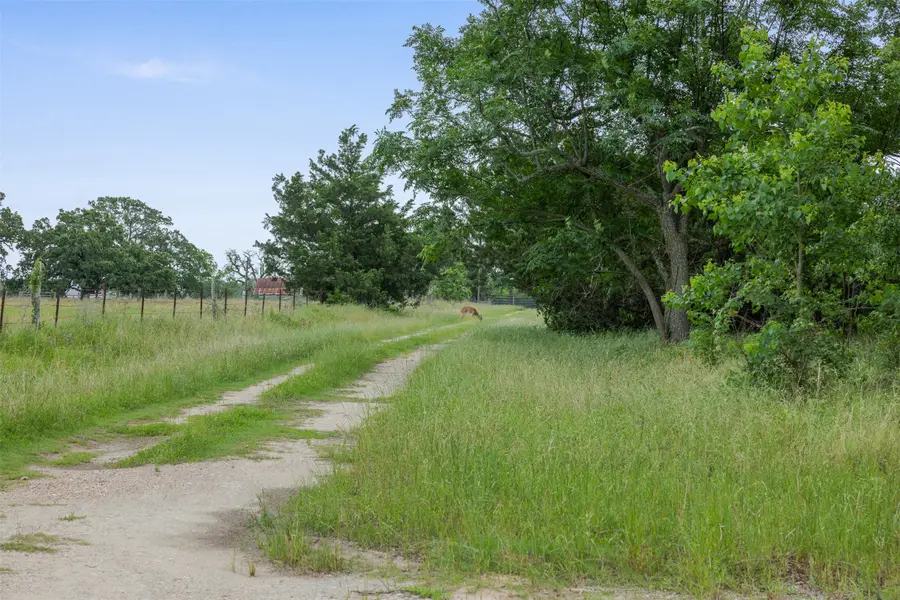 120 Avenue M, Somerville, TX 77879 - #3